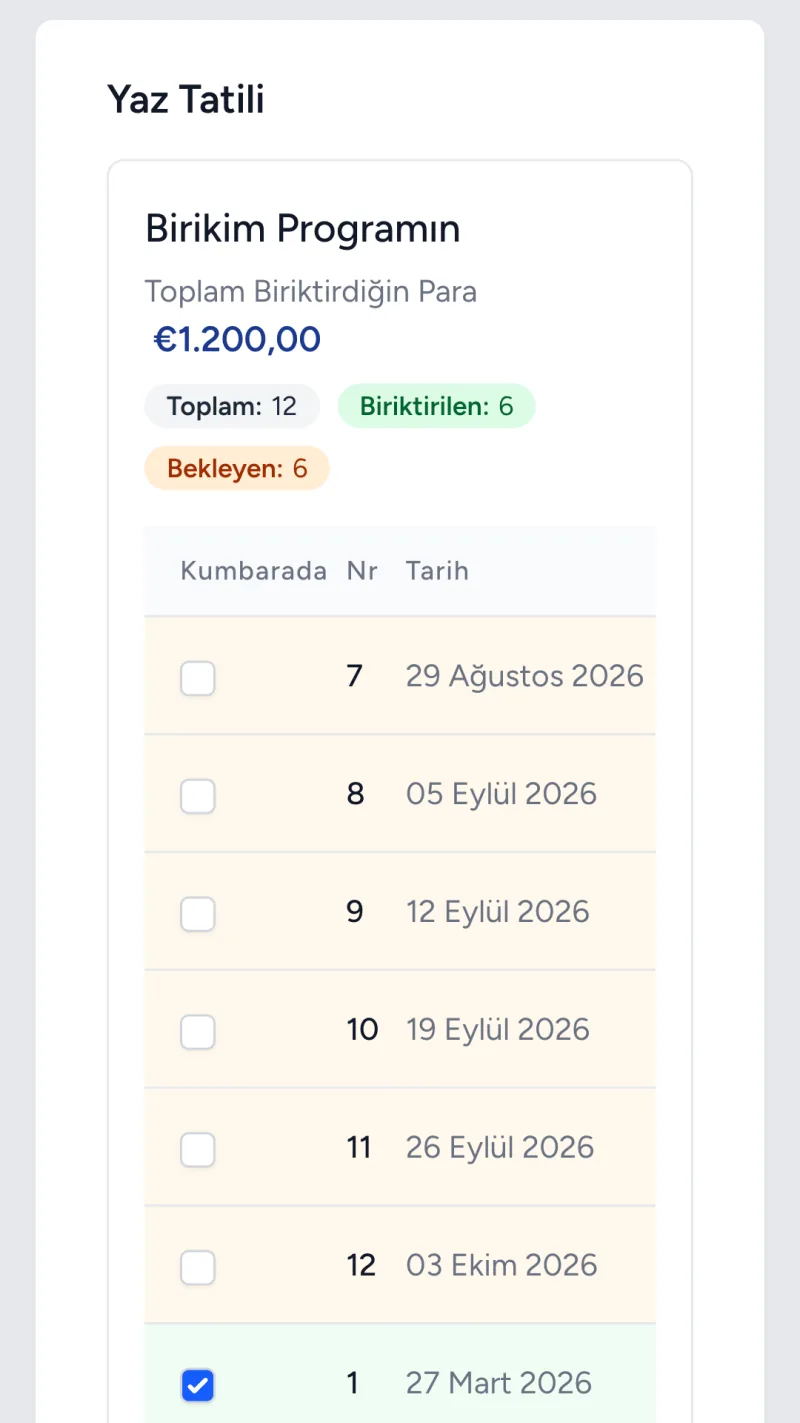 Her birikim günü ve biriktirildi olarak işaretleme kutusuyla bir birikim programı